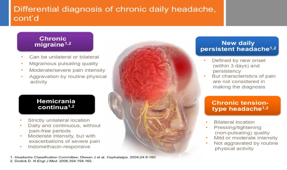 Chronic headache and migraine chart