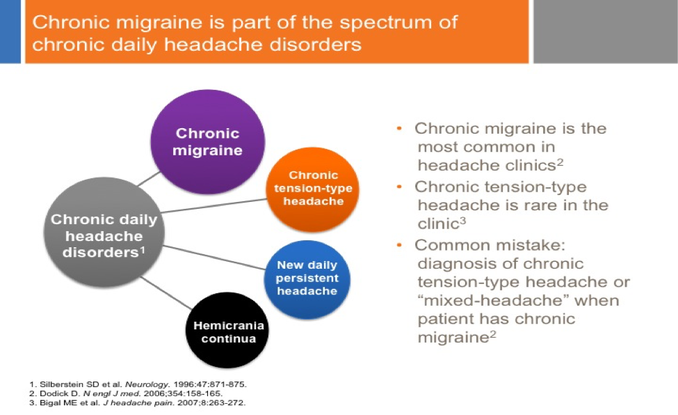 Chronic headache and migraine chart